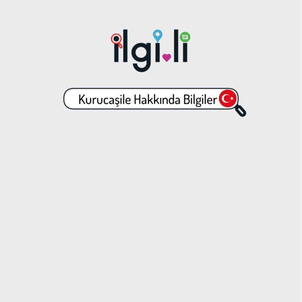 Kurucaşile Hakkında Bilgiler › Bartın | Genel Bilgiler